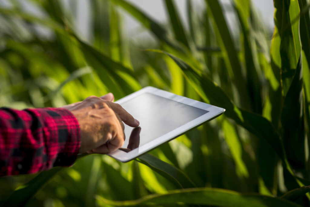Męska dłoń trzymająca tablet na tle zielonego pola. Automatyzacja gospodarstw