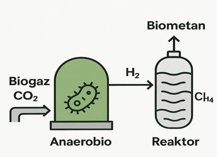 Konwersja biologiczna biometan